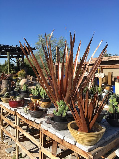 Metal Agave Sculpture, Southwest Yard Decor, Metal Cactus Garden, Southwest Metal Art, Metal Cactus Yard Art, Cactus Yard Art, Arizona Landscape Design, Cactus Yard, Southwest Landscaping