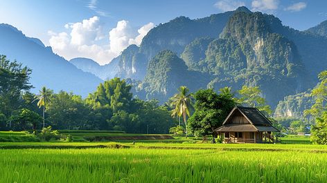 rice,green,field,nature,cottage,view,rural,thailand,farm,background,landscape,beautiful,plant,grass,asia,mountain,sky,travel,tourism,agriculture,natural,outdoor,tropical,terrace,season,countryside,scene,asian,meadow,environment Tropical Terrace, Cottage Background, Cottage View, Field Background, Rice Field, Mountain Cottage, Halloween Flowers, Green Field, Glass Bottles Art