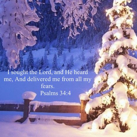 Christmas Scriptures, Christian Vision Board, Inspiring Pics, Christmas Scripture, Bible Verses Kjv, Verse Mapping, Favorite Verses, Bible Verses About Faith, Inspirational Quotes Wallpapers