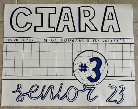 Volleyball Poster Ideas For Best Friend, Creative Volleyball Posters, Libero Posters Volleyball, Volleyball Parade Posters, Volleyball Name Poster Ideas, Volleyball Poster Ideas For Players Diy, Senior Vball Posters, Senior Signs Posters Volleyball, Cute Volleyball Posters For Players