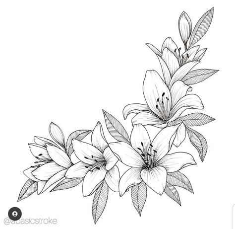 Lilly Tattoo Stencil, Lily Tattoo Stencil, Lily Flower Illustration, Lilly Flower Drawing, Tattoo Designs Watercolor, Colorful Tattoo Designs, Tattoo Designs Black And White, Quote Tattoo Designs, Tattoo Designs Skull