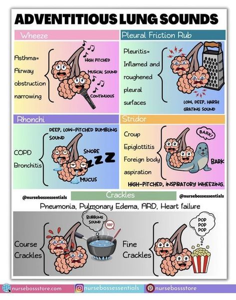 Adventitious Lung Sounds #nursingstudent #nurse #resources - Image Credits: nursebossessentials Breath Sounds Nursing, Lung Sounds Nursing, Lung Sounds Cheat Sheet, Lung Assessment Nursing, Lung Sounds Nursing Assessment, Hemodynamics Respiratory, Nursing Respiratory Assessment, Auscultating Lung Sounds, Charting For Nurses