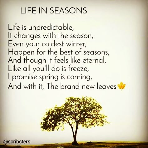 Seasons of Life A New Season Quotes Life, Poems About The Four Seasons, Entering A New Season Quotes, Busy Season Quotes, Seasons Of Life Quotes, Sunny Day Quotes, Autumn Feast, Success Poem, Seasons Quotes