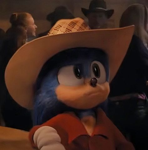 Sonic Pfp, Sonic The Hedgehog Movie, Movie Sonic, Sonic Movie, Hedgehog Movie, The Hedgehog, Sonic The Hedgehog, Sonic, Cowboy