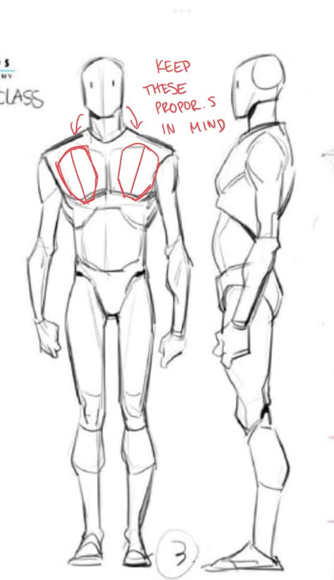 Sketching Body Anatomy, Male Body Front View Drawing, Man Anatomy Reference Drawing, Men Drawing Reference Anatomy, Masculine Body Reference Drawing, How To Draw Males Anatomy, Male Character Body Reference, Drawing Men Anatomy, Male Figure Reference Drawing