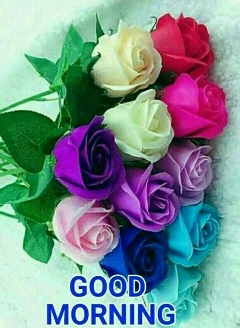 Colored Roses, Bouquet Of Roses, Colorful Roses, Good Morning, Roses, Blue, White