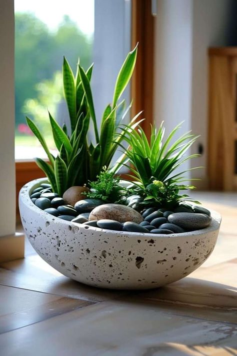 Small Garden Ideas Diy, Small Garden Landscaping Ideas, Small Garden Landscaping, Indoor Plant Ideas, Kaktus Dan Sukulen, Easy Patio, Modern Backyard Landscaping, Front Garden Design, Succulent Garden Diy