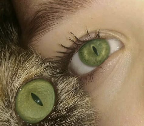 False Lash Effect Mascara, Cruelty Free, Cute Animals, Essence, Personal Care, Makeup, Green, Animals, Anime