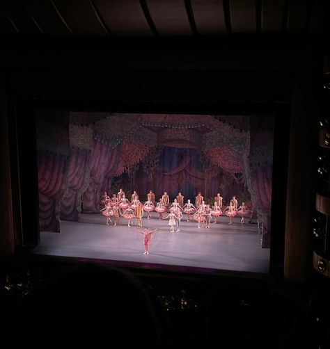 #ballet #aesthetic #nyc Ballet Aesthetic, Aesthetic Nyc, Birthday Goals, Ballet Performances, 26th Birthday, Nyc Aesthetic, Concert Aesthetic, 23rd Birthday, Theatre Life