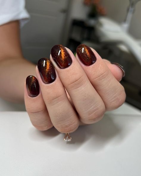 Cat Eye Nails: 30 Adorable Designs For You To Try in 2024 Cat Eyes Ombre Nails, Short Almond Acrylic Nails Cat Eye, Tortoise Gel Nails, Orange Magnetic Nails, Cat Eye Nails Colors, Dark Magnetic Nails, Autumn Nails Cat Eye, Brown Cats Eyes Nails, Black And Orange Cat Eye Nails