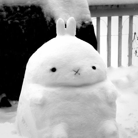 Christmas Bunny Art, Kawaii Christmas Pfp, White Snow Aesthetic, Bunny In Snow, Bunny In The Snow, Christmas Aesthetic Snow, Bunnies Aesthetic, Snow Pfp, Snow Bunny Aesthetic