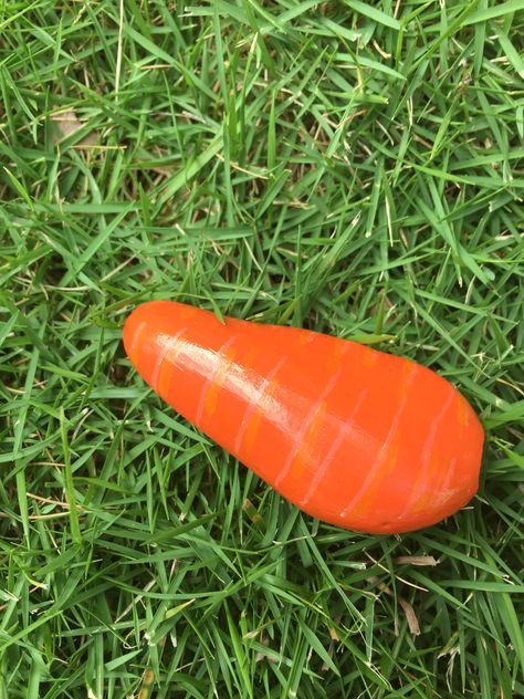 Painted rocks carrot Boyfriend Food, Ideas For Painting Rocks, Paint Rocks, Ideas For Painting, Paint Rock, Painting Rocks, Painted Stones, Places Around The World, Stone Painting