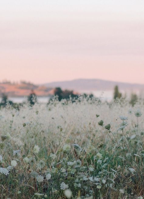 Have Inspiration, Photography Subjects, Trik Fotografi, Alam Yang Indah, Nature Aesthetic, Lake Tahoe, Nature Pictures, Pacific Northwest, Beautiful World