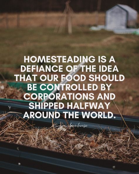 What if we ate with the seasons? What if we prepared our food as it grew? And preserved and fermented what we could. Crazy idea, I know 🫠 #homestead #homesteading #homesteadlife #homesteader #homesteaders #homesteadliving #countryliving #countrylife #growyourownfood #growyourownveggies #growyourown #fromnaturetonourish #fromfarmtotable Simple Life Quotes, Bday Party Kids, From Farm To Table, Homestead Gardens, Homestead Living, Grow Your Own Food, The Seasons, Grow Your Own, Simple Living