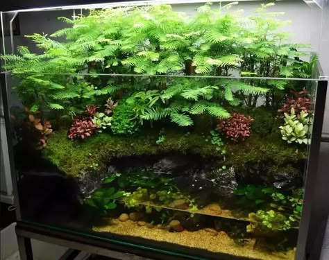 20 Gallon Paludarium, Newt Terrarium, Diy Paludarium Construction, Small Paludarium Ideas, Paludarium Ideas Diy, Paludarium Diy How To Build, Fishtank Terrarium Ideas, Paludarium Waterfall Aquascaping, Paladarium Design