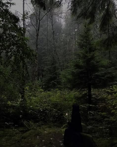 The Near Witch Aesthetic, Dark Forest Witch Aesthetic, Witch Forest Aesthetic, Witchy Forest Aesthetic, Dark Green Witch Aesthetic, Woods Aesthetic Dark, Appalachian Witch, Witch In Forest, Witchy Vibes Aesthetic