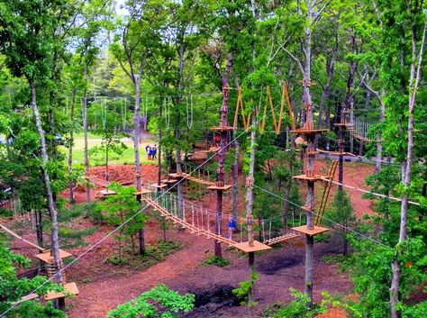 Looking for a fun, treetop trail with stunning views? Then head over to the Adventure Park at Storrs for an unforgettable trail! Adventure Places, Connecticut Travel, Ropes Course, Adventure Park, Tree Tops, In The Woods, Connecticut, Tree House, Day Trips