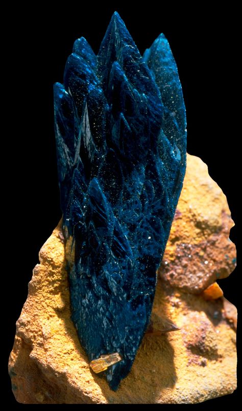 Phillipsburg Montana, Minerals Crystals Rocks, Black Pine, Montana Usa, Geology Rocks, Rock Minerals, Pretty Rocks, Smithsonian Institution, Beautiful Rocks