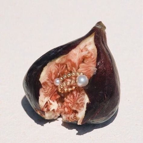 1. Figs are not fruit but a mass of inverted flowers and seeds that require pollination by tiny symbiotic wasps. 2. Figs represent fertility. They have been linked to increasing sperm motility. 3. Buddha became enlightened under a fig tree. 4. Hebrew traditions see it as a symbol of peace and abundance. The beautiful capture by Mason Pool for @lucy_folk #Figs #Buddha #Fertility #Flowers #Fruits #Wasps #Pearl #LucyFolk #MasonPoole #JewelleryDesign #Handmade #FashionArt #Symbiotic #Slo Creative Jewelry Photography, Easy Drawing Tutorial, Jewelry Editorial, Jewelry Photoshoot, Prop Styling, Jewelry Photography, Photography Inspo, Life Photography, Still Life Photography