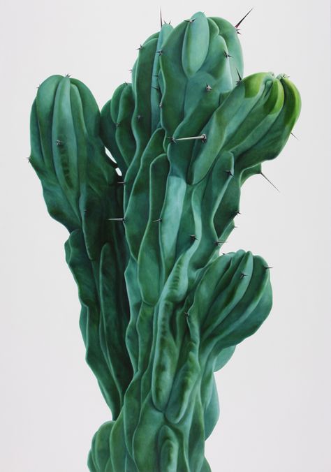 kwang-ho lee: touch Plants Exhibition, Kwangho Lee, Cactus Indoor, Kaktus Dan Sukulen, Cactus Paintings, Garden Cactus, Indoor Cactus, Cactus Planta, نباتات منزلية