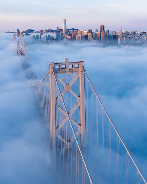 Some rare low fog under the bay bridge in San Francisco. San Francisco Wallpaper, San Francisco Pictures, California City, Travel Icon, San Francisco Travel, San Fran, Cultural Center, Cool Landscapes, American Cities