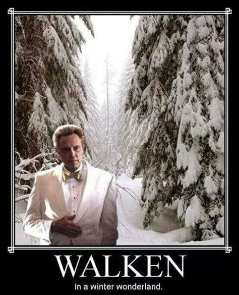 Christopher Walken in a Winter Wonderland. Funny Merry Christmas Memes, Merry Christmas Meme, Christmas Memes Funny, Christopher Walken, Christmas Memes, Merry Christmas Funny, Holiday Humor, Christmas Song, Bones Funny