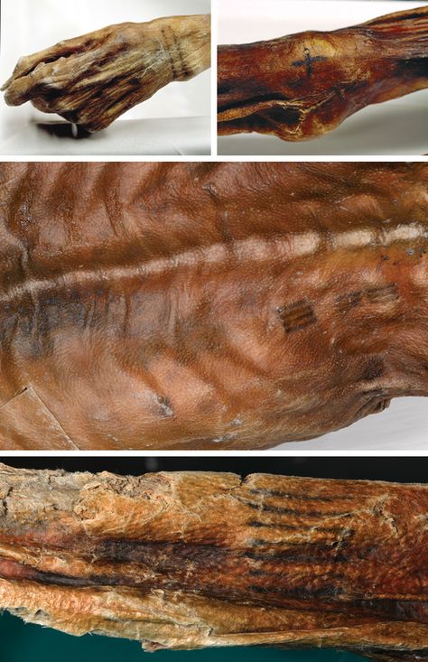 Ötzi, the Iceman - Archaeology Magazine Iceman Tattoo, Otzi The Iceman, Ötzi The Iceman, Mother And Son Tattoo, Mummified Body, Son Tattoo, Ancient Tattoo, The Iceman, Tattoos Pictures