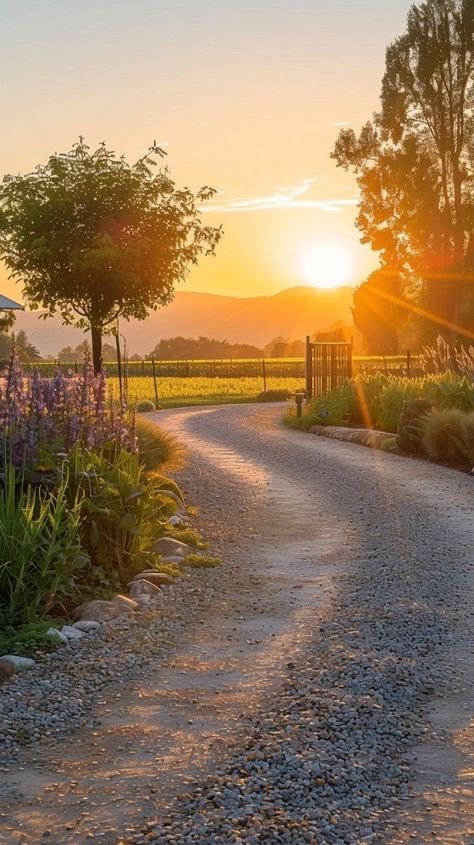 Nature Road Wallpaper, Beautiful Nature Morning, High Way Road Pictures, Pretty Wallpapers Backgrounds Nature, Road Pic, Outdoor Wallpaper, Road Images, Driveway Entry Landscaping, Sunlight Wallpaper