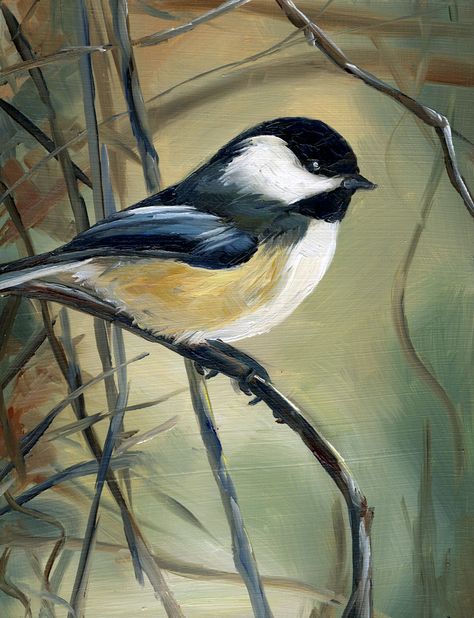 Alyssa's Painting a Day: Chickadee in Mist Chickadee Art, Bird Painting Acrylic, Drawing Bird, Drawing Acrylic, Bird Drawing, Beautiful Bird, Bird Pictures, Tole Painting, Bird Drawings