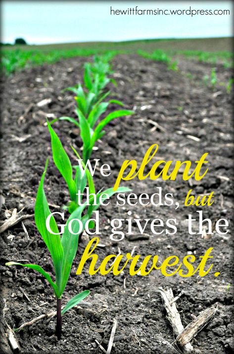 We plant the seed, but God gives the harvest. – Faith, Farming & Cowboy Boots Ag Quotes, Harvest Quotes, Farm Sayings, Agriculture Quotes, Farm Life Quotes, Seed Quotes, Farming Quotes, Farmer Quotes, Farm Picture