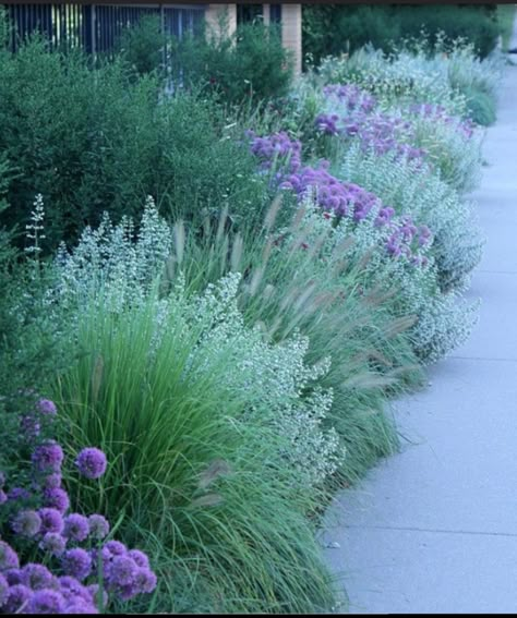 Modern Mediterranean Garden, Xeriscape Front Yard, Funny Vine, Side Yards, Front Yard Design, Cottage Garden Design, Have Inspiration, Mediterranean Garden, Cottage Gardens