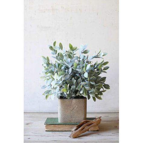 Shop Bellacor for Artificial Sage Bush in White Square Pot by Kalalou and other Faux Flowers & Plants for your home. Free shipping on most lighting, furniture and decor every day. Urban Farmhouse Designs, Sage Bush, Sage Aesthetic, Sage Plant, Bush Plant, Sage Blue, Fake Plants Decor, Decor Paintings, Floral Greenery