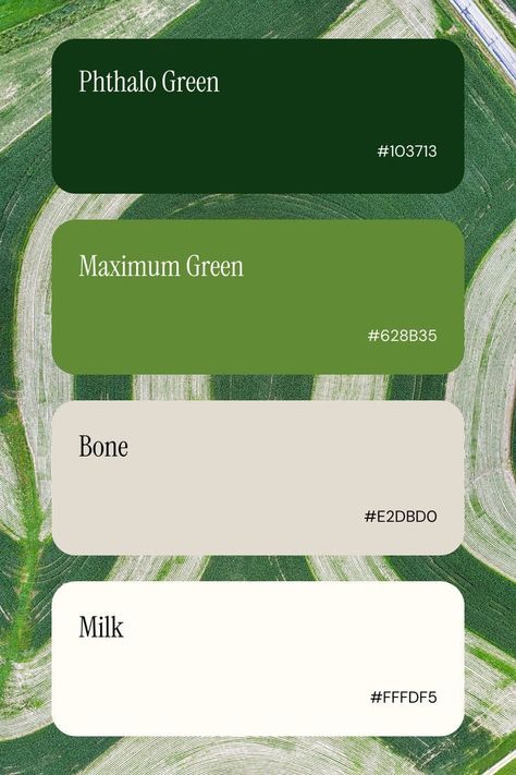 Color Palette Of Green, Green Ombre Color Palette, Document Color Palette, Green House Palette, Environmental Color Palette, Green Pallet Color Colour Palettes, Natural Green Color Palette, Color Palette For Green, Aesthetic Color Palettes Green