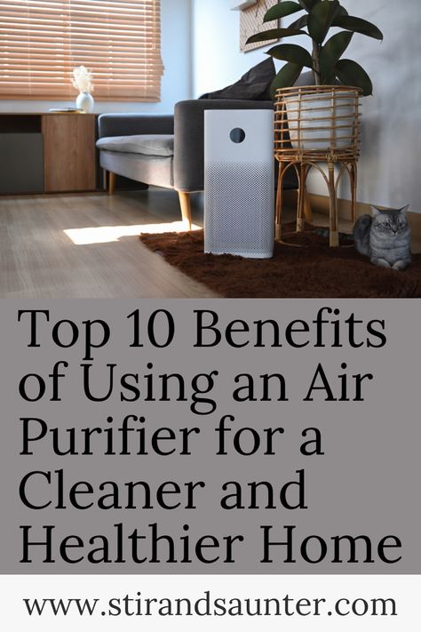 Top ten air purifier benefits Air Purifier Aesthetic, Air Purifier Benefits, Diffuser Benefits, Dyson Air Purifier, Homemade Detergent, Best Air Purifier, Dc House, Room Air Purifier, Natural Air Purifier