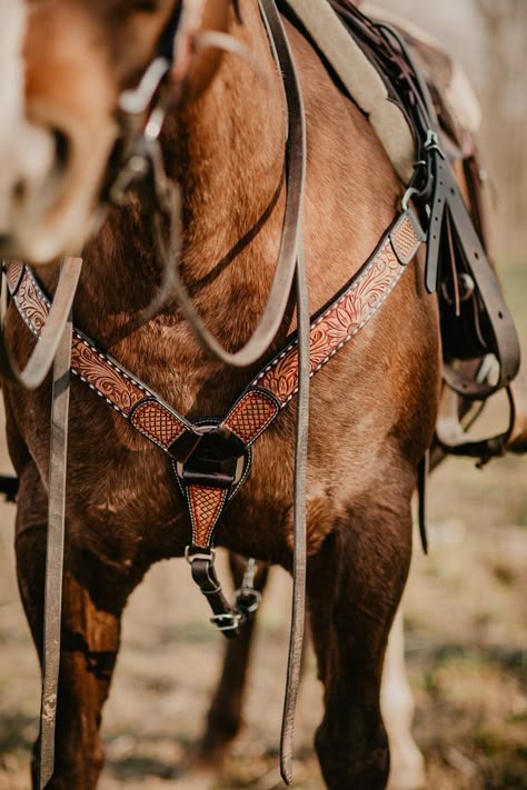 Horse Photography Poses, Cowboy Photography, Reining Horses, Western Photo, Western Photography, Rope Halter, Tack Shop, Barrel Horse, Western Horse Tack