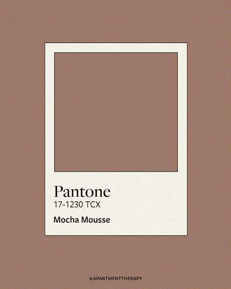 Pantone’s 2025 Color of the Year Is a Surprising Neutral | Apartment Therapy Pantone Colour Of The Year 2025, Color For 2025, Color Of 2025 Pantone, Colors Of 2025, Pantone Color 2025, Color Of 2025, 2025 Pantone Color Of The Year, Pantone 2025 Color Trends, Color Of The Year 2025