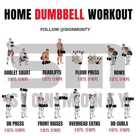 Home Dumbbell Workout, Dumbbell Workout Plan, Dumbbell Workout At Home, Full Body Weight Workout, Full Body Dumbbell Workout, Bolesti Chrbta, Weight Exercises, Gain Muscle Mass, Gym Antrenmanları