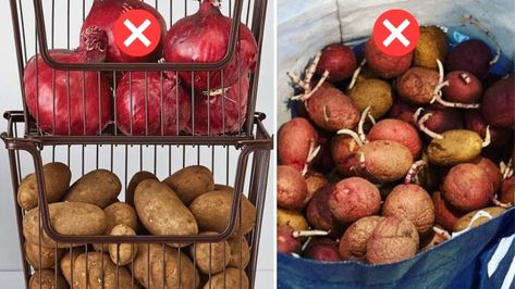 How To Store Potatoes For Months Without Budding Store Onions And Potatoes, Store Potatoes And Onions, Storing Onions And Potatoes, Store Onions, Storing Onions, Potato Storage, Potatoes And Onions, How To Store Potatoes, Yum Recipes