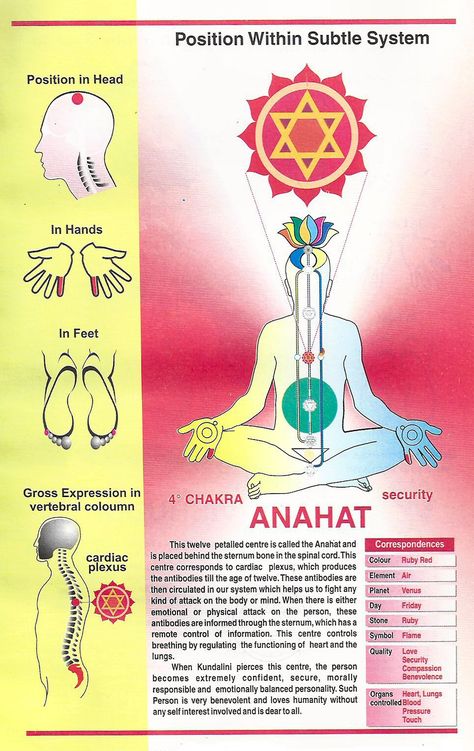 Anahat chakra Sahasrara Chakra, Yoga Positionen, Sahaja Yoga Meditation, Chakra Chart, Yoga Chakras, 2nd Chakra, Sahaja Yoga, Chakra Work, Chakra System