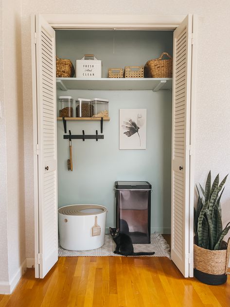 Litter Box In Closet, Cat Closet, Cat Area, Cat Projects, Urban Outfitters Home, Cat Patio, Green Diy, Cat Home, Cat Things