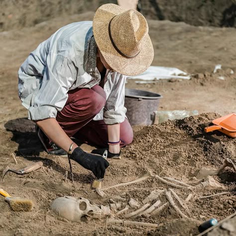 Archeologists excavating human skeleton remains 20s Aesthetic, Finding The Right Career, Centre Of Excellence, Forensic Anthropology, History Major, Into The West, Diploma Courses, Center Of Excellence, Dream Career