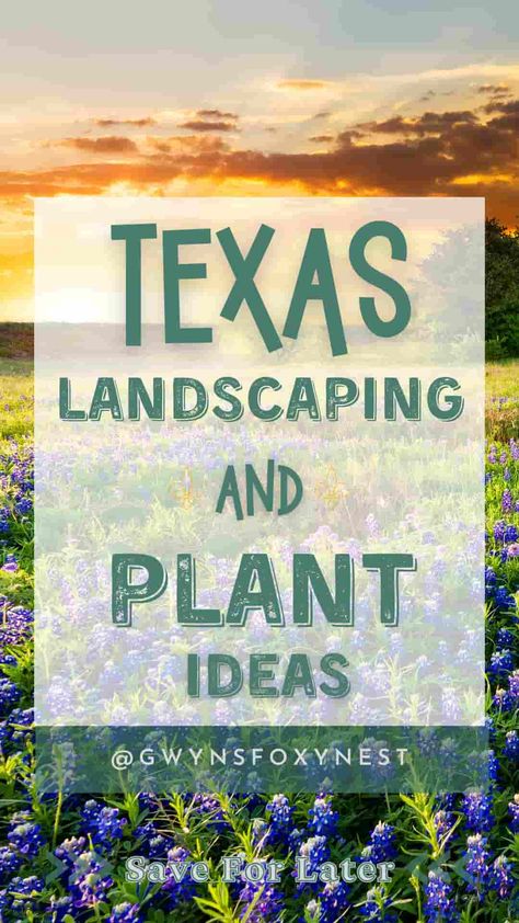 Landscaping Ideas for Texas home Texas Flowers Garden Ideas, Central Texas Native Plants Landscaping, Native Texas Plants Landscaping, South Texas Landscaping Ideas, Texas Flower Beds Front Yards, Texas Garden Ideas Landscape Design, Texas Backyard Landscaping, Texas Backyard Ideas, Texas Native Plants Landscaping