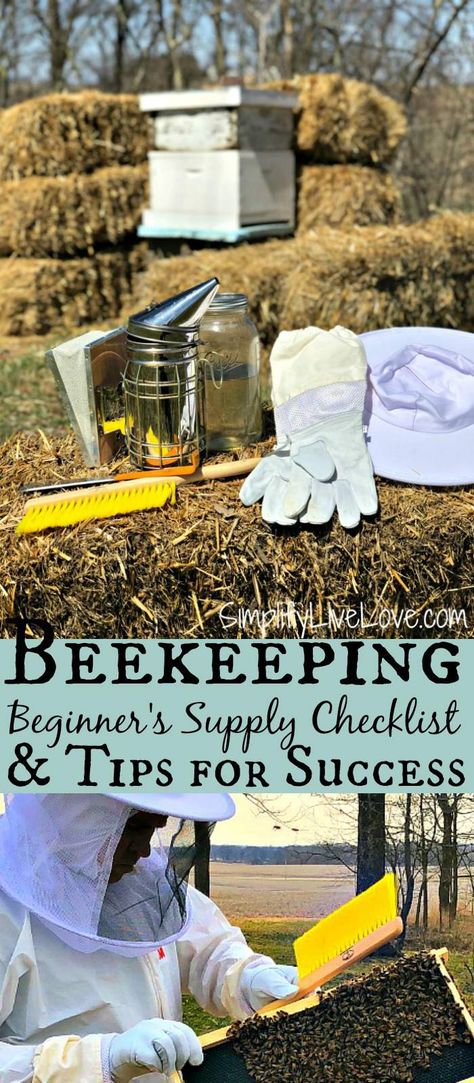 How To Start Beekeeping, Drone Bee, Bee Farming, Backyard Bee, Beekeeping For Beginners, Raising Bees, Backyard Beekeeping, Bee Boxes, Bee Keeping Supplies