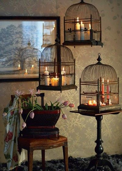 restricting the light Bird Cage Candle, Koti Diy, Classy Halloween, Bird Cage Decor, Birdcages, Bird Cages, Gothic Decor, Gothic Home Decor, Gothic House