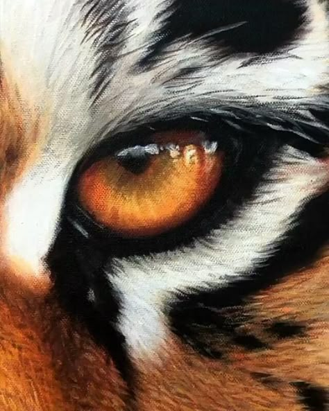 Tiger Eyes Paintings, Eye Of A Tiger, Tiger Eye Painting Acrylic, Tiger Eye Sketch, Animal Eyes Painting, Animals Eyes Drawing, Animal Eye Painting, Tiger Eyes Drawing, Eye Hyperrealism