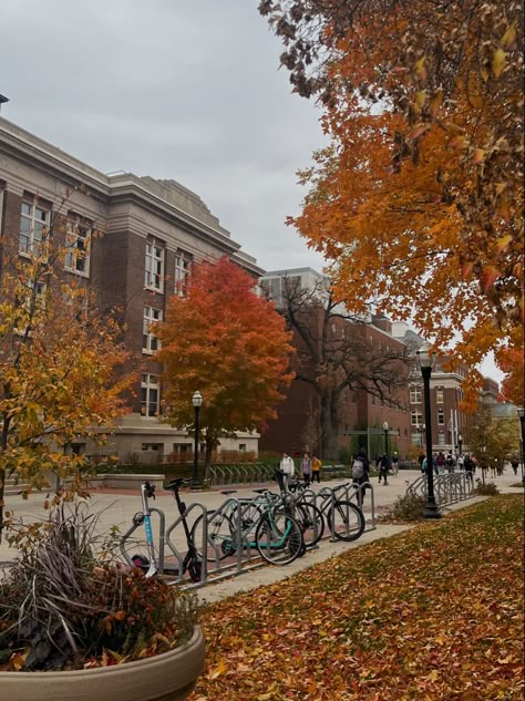 Studera Motivation, Fall Mood Board, Fall Semester, Season Of The Witch, Autumn Scenery, Fall Activities, University Of Minnesota, Fall Feels, Fall Pictures