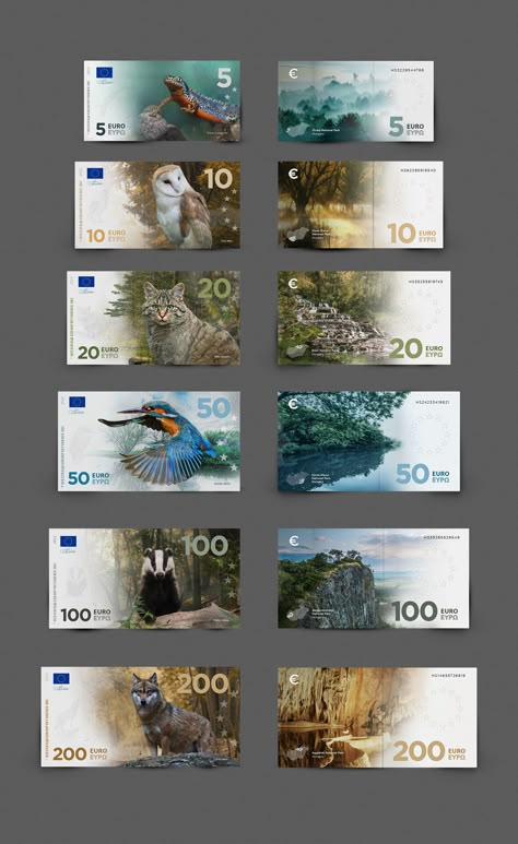 Pubmat Design, Money Design Art, Euro Banknotes, Euro Dollar, Banknotes Art, Banknotes Design, Animal Migration, Package Template, Banknotes Money