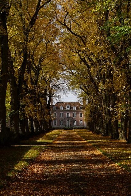 Château (XVIIe-XVIIIe s.) de Saudreville, Villeconin (Essonne, France) Leaves On The Ground, Cinematic Film, English Manor, Chateau France, On The Ground, Manor House, In The Fall, My Dream Home, Old House