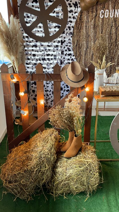 Western Theme Party Decorating Ideas, Cowboy Party Decorations, Country Birthday Party, Wild West Birthday, Rodeo Birthday Parties, Cowboy Theme Party, Wild West Party, Western Birthday Party, Rodeo Party