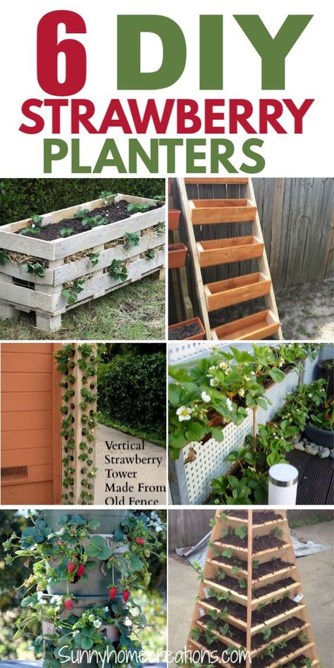 Strawberry Plants Ideas, Raised Strawberry Beds, Strawberry Planters Diy, Growing Strawberries In Containers, Strawberries In Containers, Strawberry Planter, Strawberry Tower, Strawberry Beds, Strawberry Pots